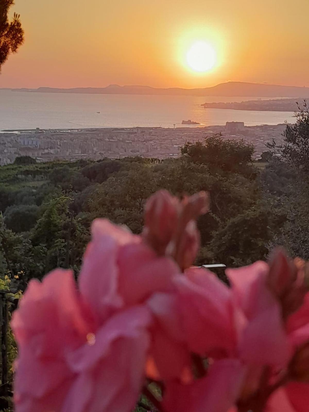 Bed and Breakfast La Vigna Del Vento Casola di Napoli Esterno foto